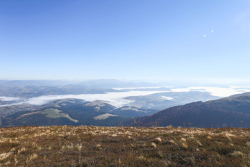 mountains, landscape, forest