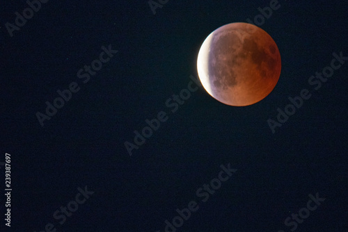Plakat Lunar Eclipse / Bloodmoon