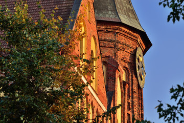 Wall Mural - The tower of Koenigsberg Cathedral against the blue sky. Gothic of the 14th century. Kaliningrad, Russia