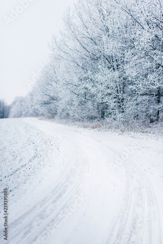 Winter Landscape Composition Of Nature Winter Road And