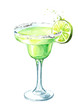 Glass of  Classics Margarita cocktail with lime and salt. Watercolor hand drawn illustration, isolated on white background