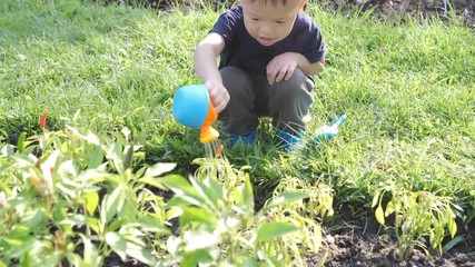 Wall Mural - Cute smiling happy little Asian 2 - 3 years old toddler baby boy child having fun watering home grown vegetable on black soil in the green backyard garden, Save the world and environment concept