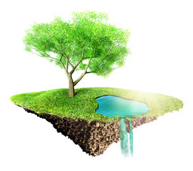 Wall Mural - green grass island with tree and water