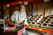 © Mint Images - Farmer standing in a farm shop, weighing and bagging fresh green beans.