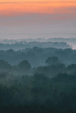Fototapeta Na ścianę - Mystical view from top on forest under haze at early morning. Mist among layers from tree silhouettes in taiga under warm predawn sky. Morning atmospheric minimalistic landscape of majestic nature.