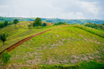 Panorama landscape of  turbines wind energy