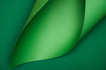 elevated view of green paper on colored background