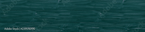 panorama dark wooden green texture