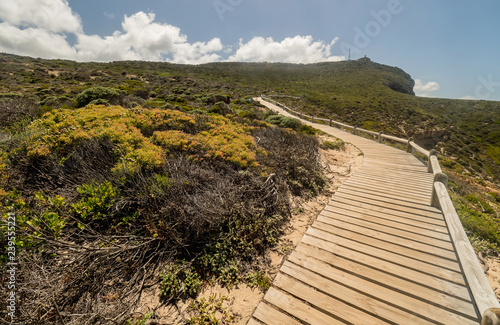 Fotografering scenic walk at the Cape Of Good Hope on the Cape Peninsula near Cape Town, South Africa