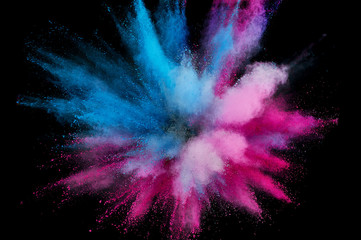 Wall Mural - Colored powder explosion. Abstract closeup dust on backdrop. Colorful explode. Paint holi