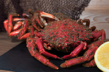 Canvas Print - galician crab from the estuary, wild fresh seafood