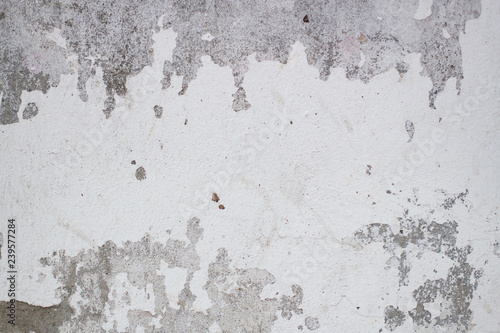 White Background Gray Old Plaster Wall Texture Stock Photo Adobe Stock White Background Gray Old Plaster Wall Texture Stock Photo Adobe Stock