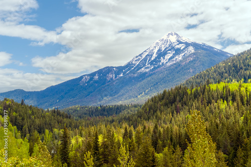 Fotografía Colorful forest of British Columbia in spring with snowy mountains in background