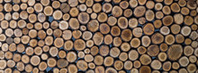 Stacked Wood Logs As Texture, Background, Panorama