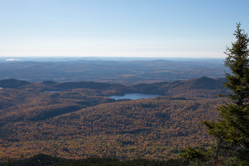 Poster - New England Fall