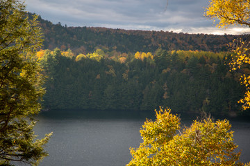 Sticker - New England Fall