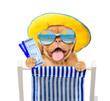 Happy puppy in summer hat and mirrored sunglasses holds airline tickets and resting on a deck chair. Isolated on white background