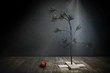 Small Sparse Christmas Tree with red ornament on the floor