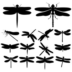 Wall Mural - dragonfly silhouettes, insects, on white background