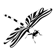 Isolated Black And White Silhouette Of A Flying Dragonfly