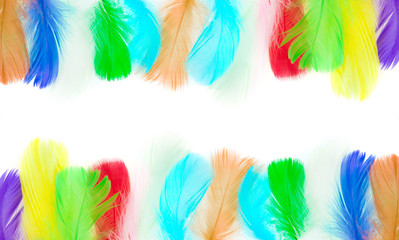 Poster - frame of colorful bird feathers with empty white space for text