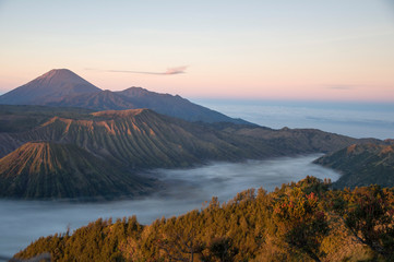 Wall Mural - Vulkan Bromo