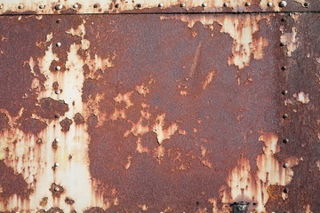 Wall Mural - rusty metal background