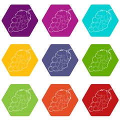Sticker - Grape icons 9 set coloful isolated on white for web