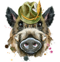 Watercolor Portrait Of Wild Boar With Green Hat