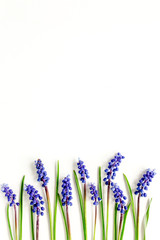 Blue flowers muscari. Minimal floral concept greeting card. Flat lay, top view.