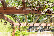 Closeup Of Patio Outdoor Spring White Flower Garden In Backyard Porch Of Home, Lamps Light Bulbs, Zen With Pergola Canopy Wooden Roof Gazebo, Plants