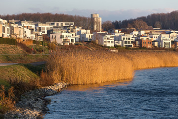 Wall Mural - dortmund germany phoenixsee lake in the winter