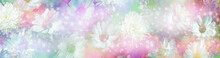 Ethereal Daisies And Gemstones Background Banner - Multi Coloured Wide Banner Of Bokeh Effect Random Daisy Flower Heads Scattered Around Tumbled Healing Gemstones 
