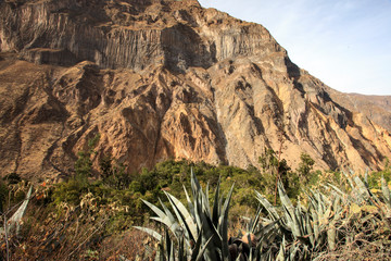 Wall Mural - Peruvian animals, houses, country landscape, colca Canyon