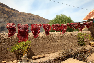 Wall Mural - Jerky in the Sun at Peù