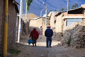 Wall Mural - Peruvian animals, houses, country landscape, colca Canyon