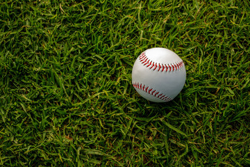 Baseball on grass