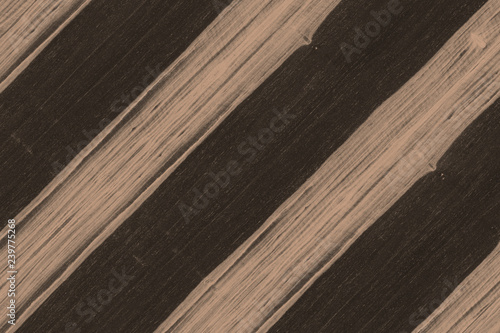 Ebony Africa Wood Structure Texture Backdrop Surface Wallpaper