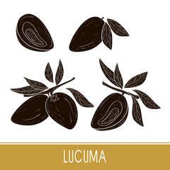 Wall Mural - Lucuma. Fruit, leaves. Super food. Black silhouette. Set. Monophonic.