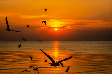 Wall Mural - sunset on the beach