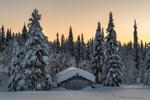 Snow-covered Hut In Winter Landscape, Morning Atmosphere, Pallastunturi, Pallas-Yllastunturi National Park, Muonio, Lapland, Finland, Europe