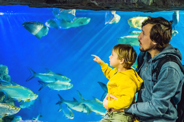 Wall Mural - Father and son look at the fish in the aquarium in oceanarium