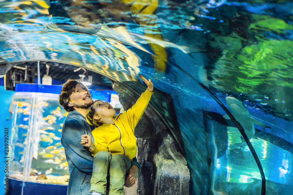 Obraz na płótnie Father and son look at the fish in the aquarium in oceanarium w salonie