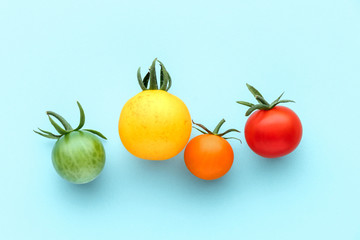 Wall Mural - Colorful organic cherry tomatoes on a blue background, creative flat lay healthy food concept, top view