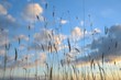 © Khathawuth - grass flowers on blue sky background