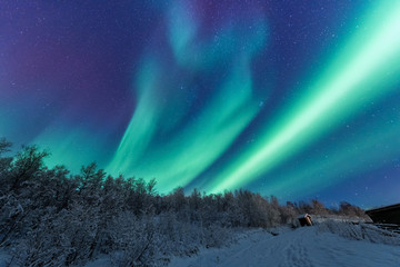 the polar arctic northern lights aurora borealis sky star in scandinavia norway tromso in the farm w