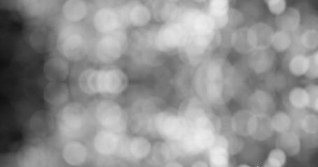 Wall Mural - Digital art graphic created design abstract background bokeh gradient colour gray tone