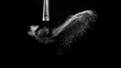 © pariwatpannium - Cosmetic brush with white cosmetic powder spreading for makeup artist or beauty blogger in black background