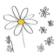 © sketcherfl - Vector set of daisy flower drawings.