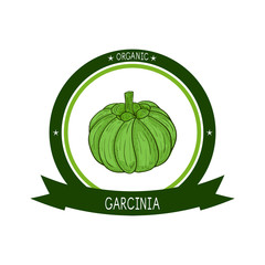 Wall Mural - Garcinia. Fruit. Sketch. Color. Logo, emblem.